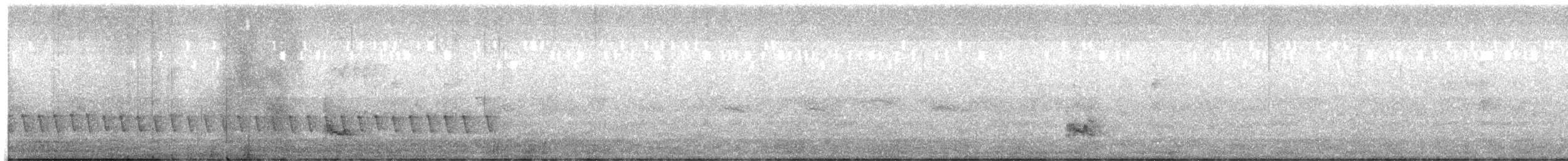 Weißflügel-Raupenfänger - ML643411255