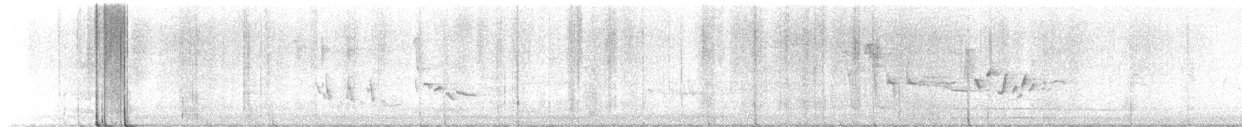 Грач - ML643411796
