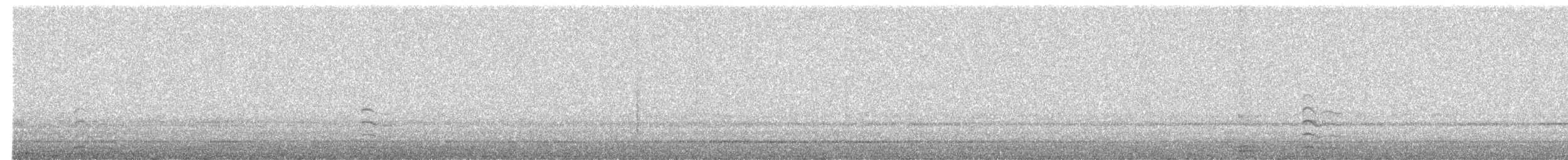 Eurasian Coot - ML643413012