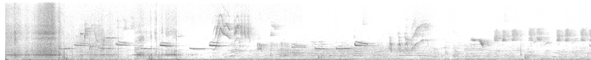 thrush sp. - ML643414521