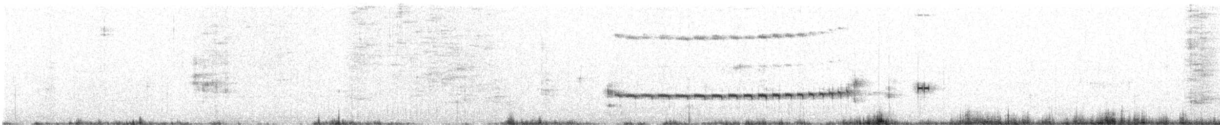 Panao Antpitta - ML643415595