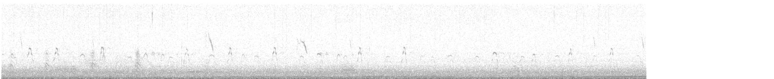 toppdykker - ML643415767