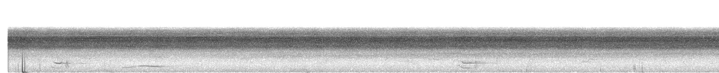 トサカハゲミツスイ - ML643416146