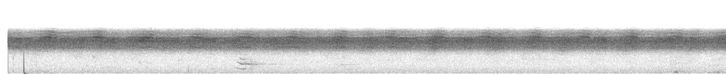 トサカハゲミツスイ - ML643416149