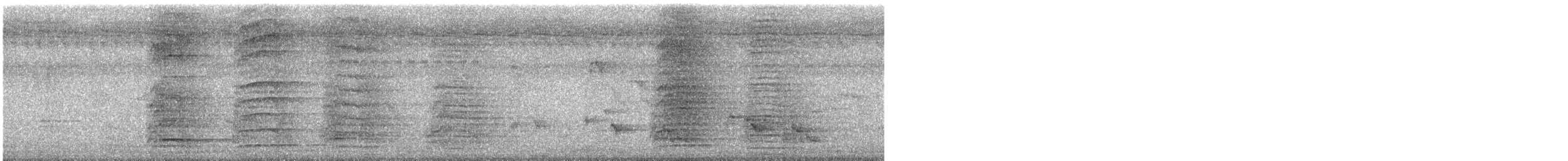 カササギサイチョウ - ML643416604