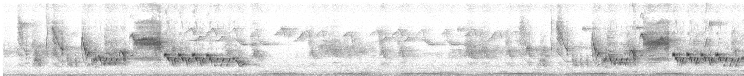 Southern House Wren - ML643418274