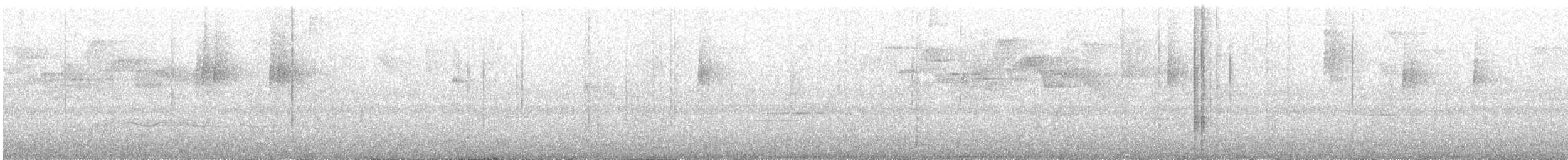 コスタリカアメリカムシクイ - ML643419461