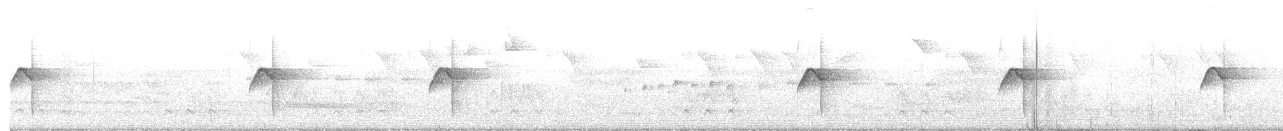 Rough-legged Tyrannulet - ML643419470