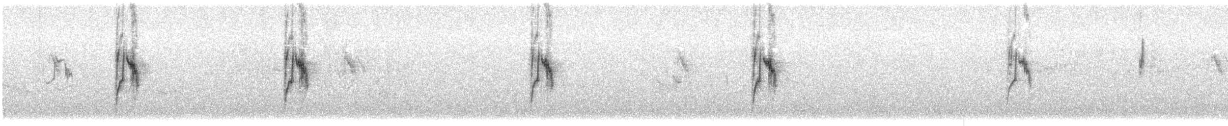 ニシツメナガセキレイ - ML643419649