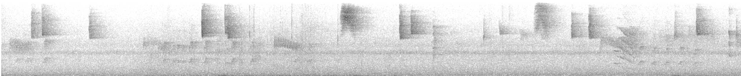 ハイイロヒメアリサザイ - ML643419772