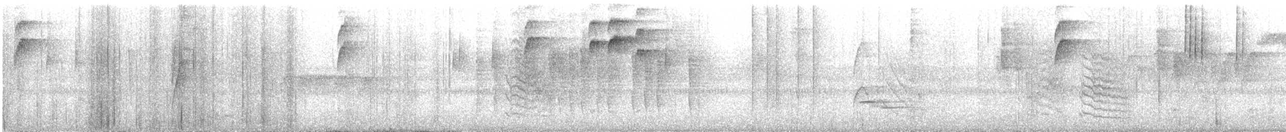 ハイイロヒメアリサザイ - ML643419773