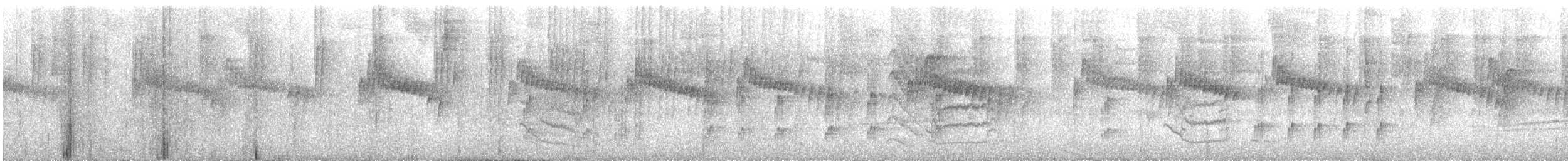 ハイイロヒメアリサザイ - ML643419775