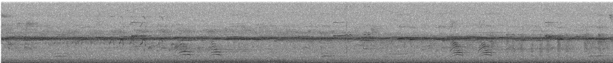 White-necked Thrush - ML643419905