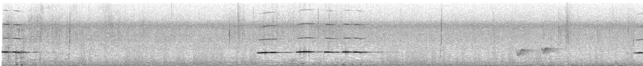 Tavus Guguğu - ML643419937