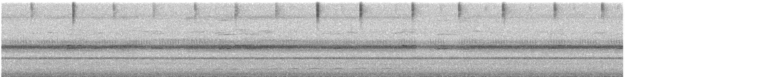 Black capuchin - ML643420331