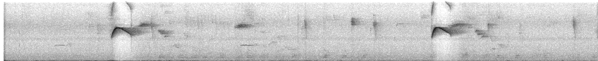 White-fronted Tyrannulet - ML643423125