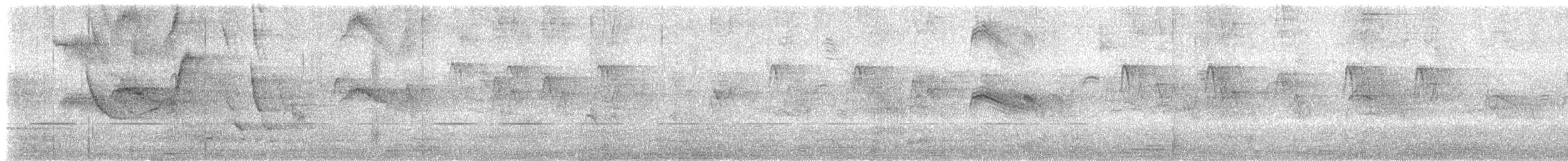 Pallid Swift - ML643423263