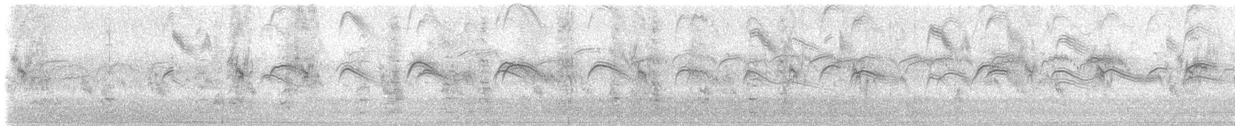 Common Swift - ML643423267