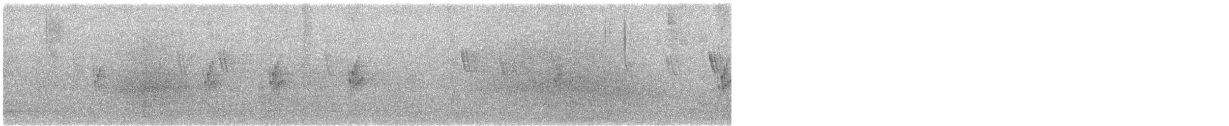 Hirondelle du Chili - ML643423394