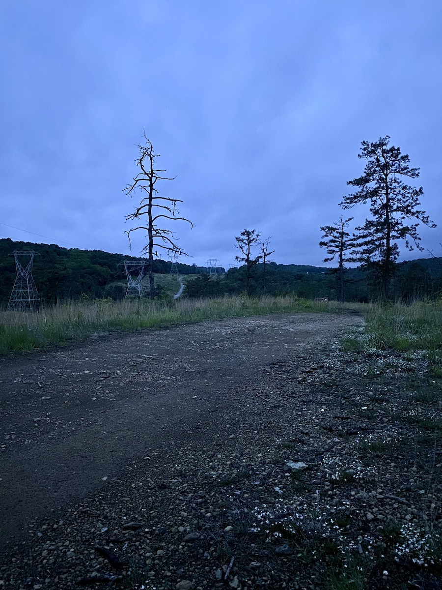 null - ML643424341