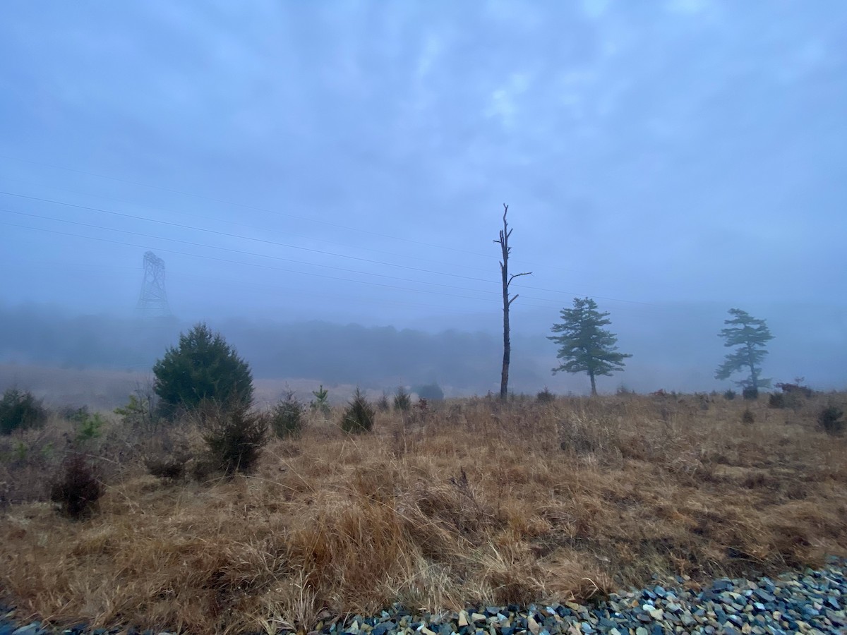 null - ML643424484
