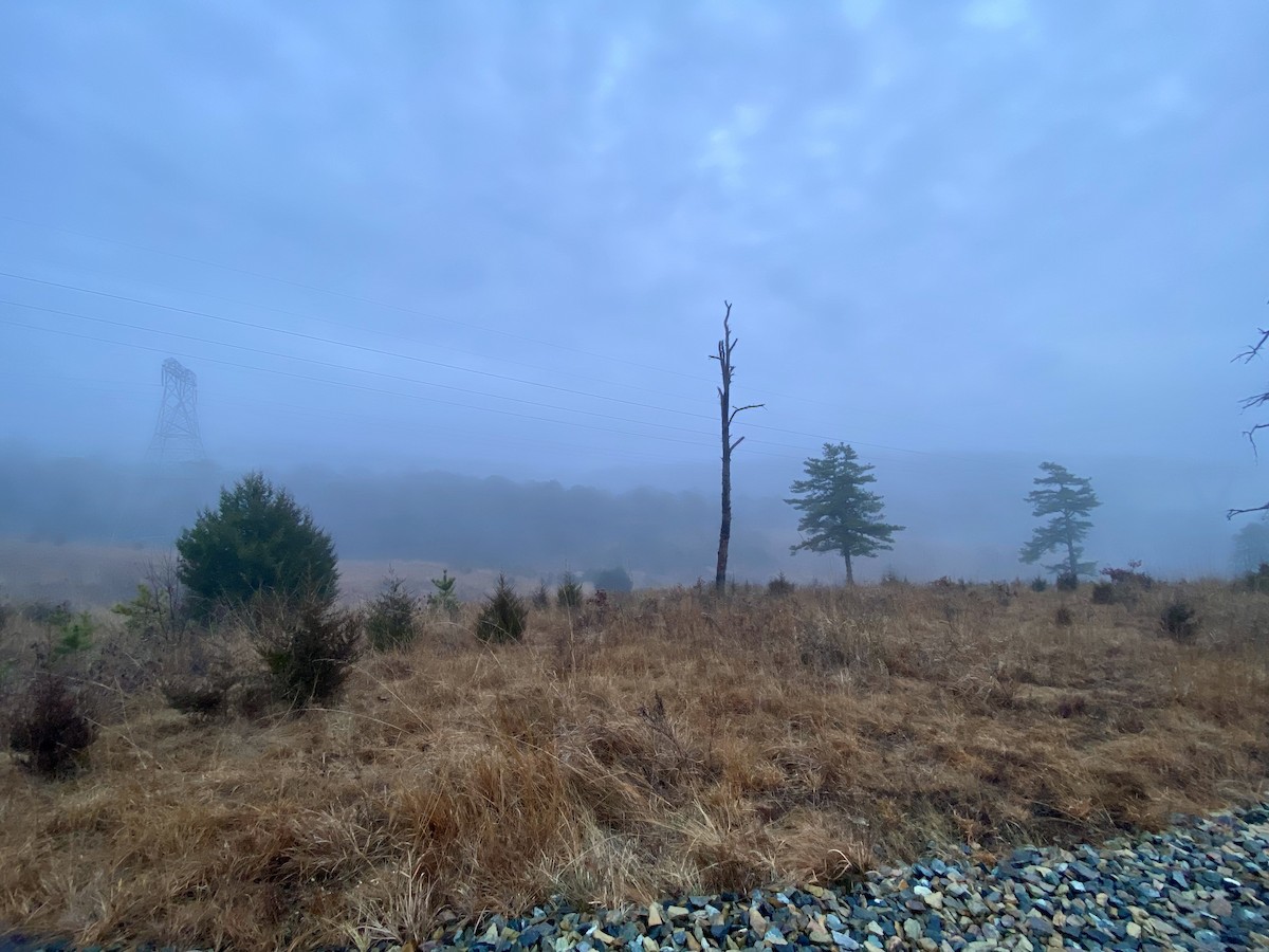 null - ML643424486