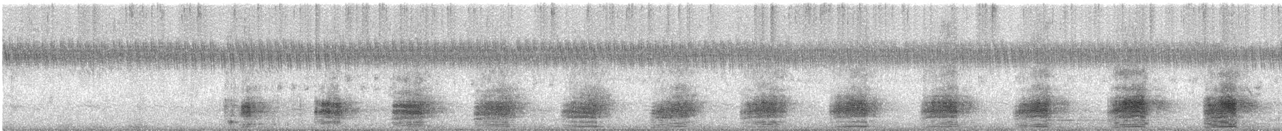 アカボシカルガモ - ML643424706