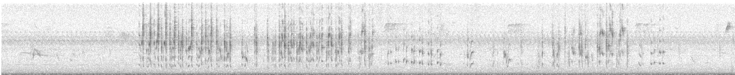 Marsh Wren - ML643425086