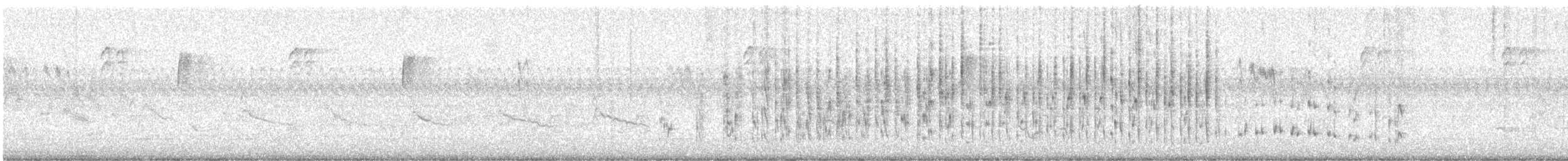 Marsh Wren - ML643425087