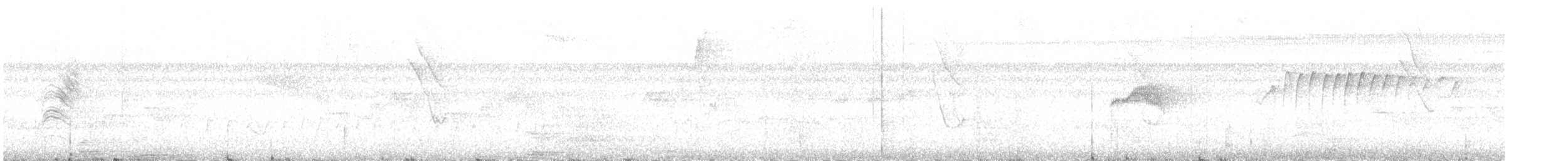White-browed Gnatcatcher - ML643425237