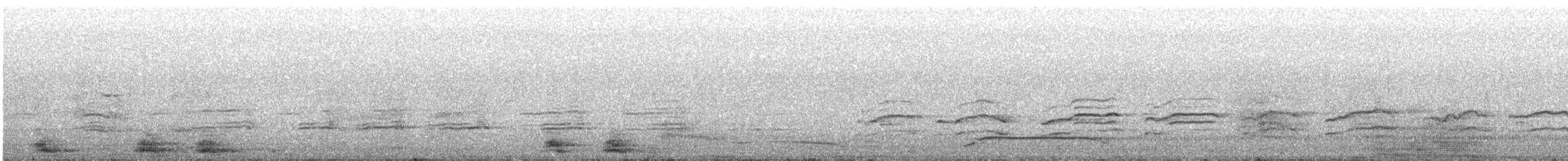 passerine sp. - ML643429875