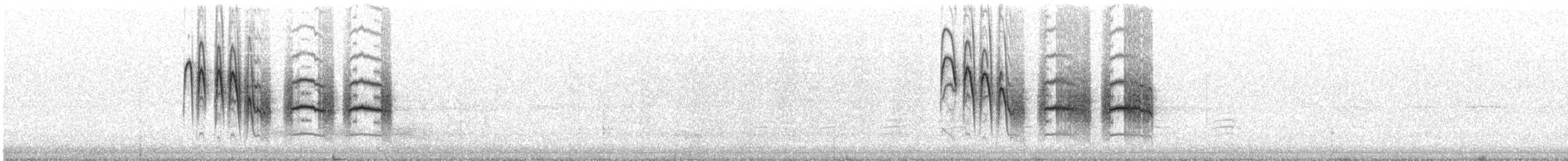 マミジロコガラ - ML643430026