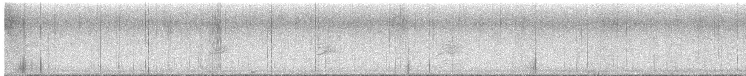 Hermit Thrush - ML643430306