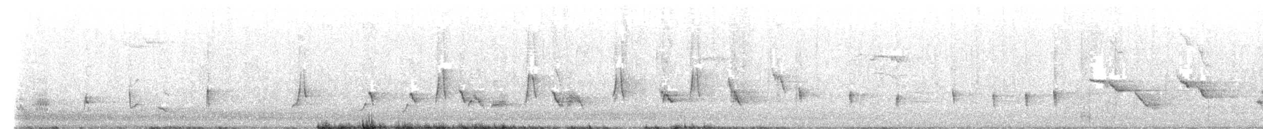 Northern Mockingbird - ML643430804