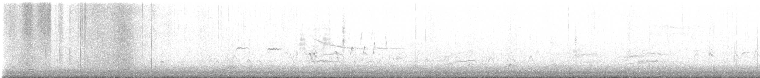 Eurasian Wigeon - ML643430841