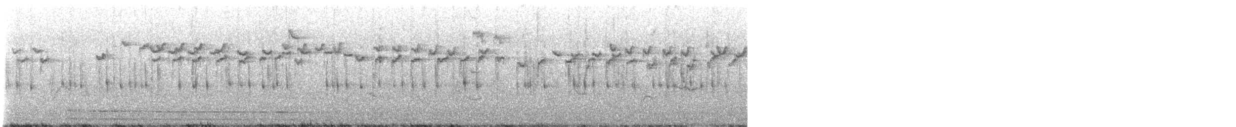 Thorn-tailed Rayadito - ML643432105