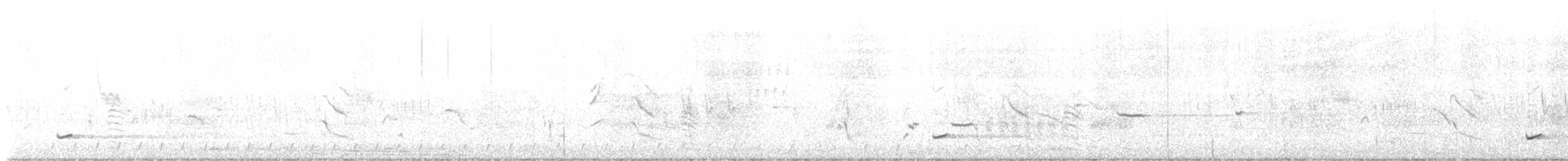 Moustached Turca - ML643432254