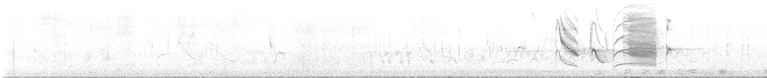 Sturnelle australe - ML643432289