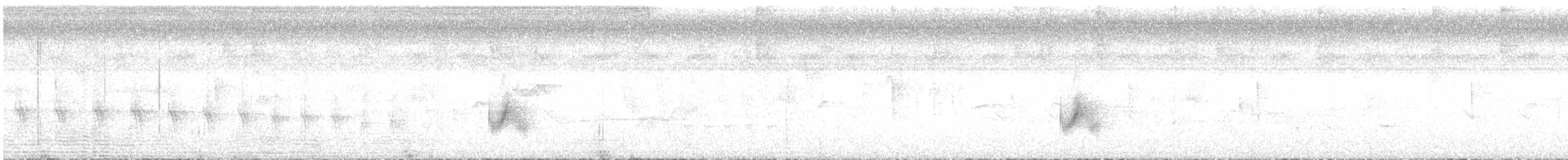 Pied Water-Tyrant - ML643433861