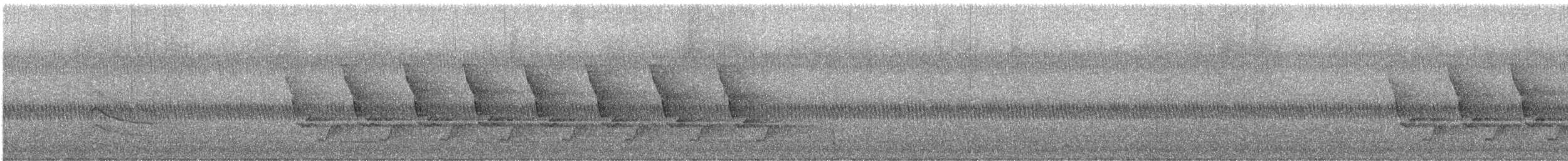Carolina Wren - ML643433961