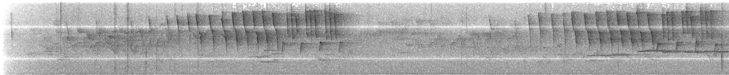 Tennessee Warbler - ML643434084