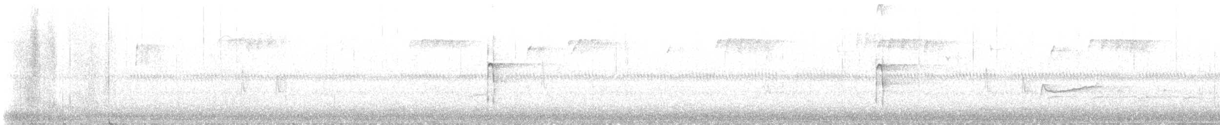 Hairy Woodpecker - ML643436063