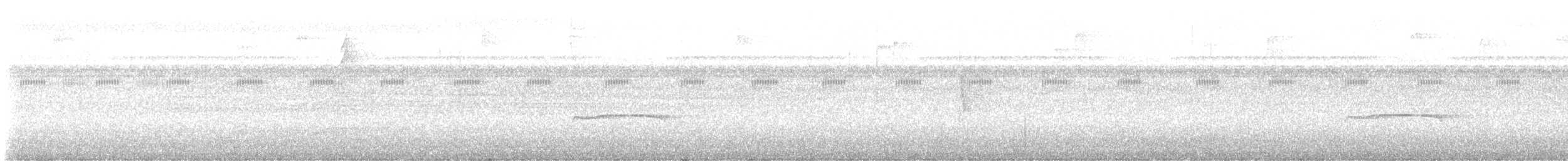 Western Wood-Pewee - ML643436526