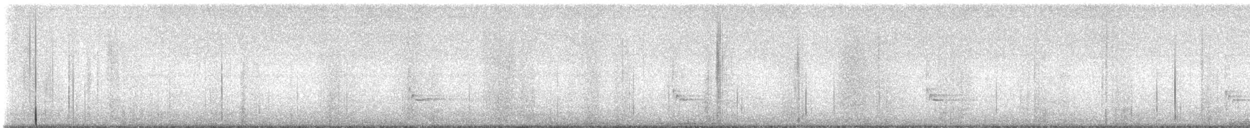 Carolina Wren - ML643436989
