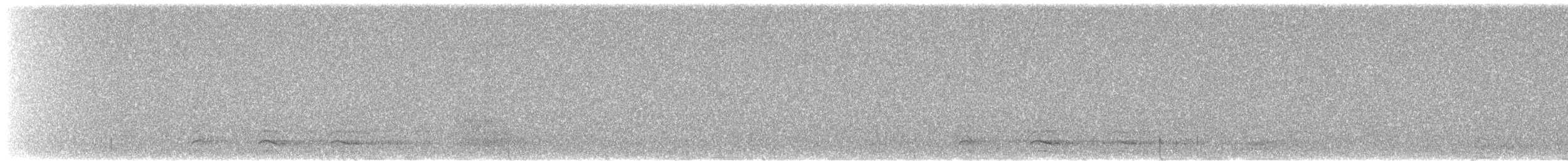 Chouette tachetée (lucida) - ML643438739
