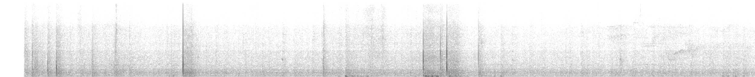 Paruline à diadème - ML643438997