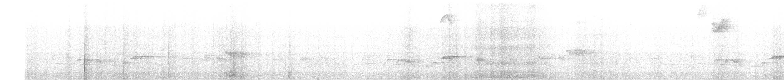Paruline à diadème - ML643439378