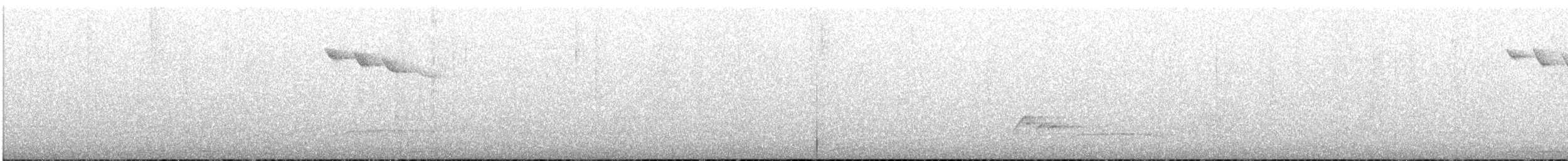 Pin-tailed Manakin - ML643439597