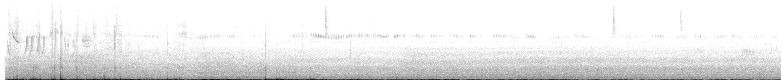 Broad-tailed Hummingbird - ML643440251