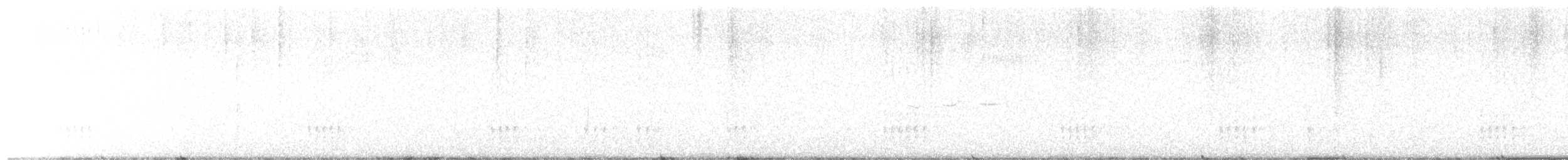 Dindon sauvage - ML643440761